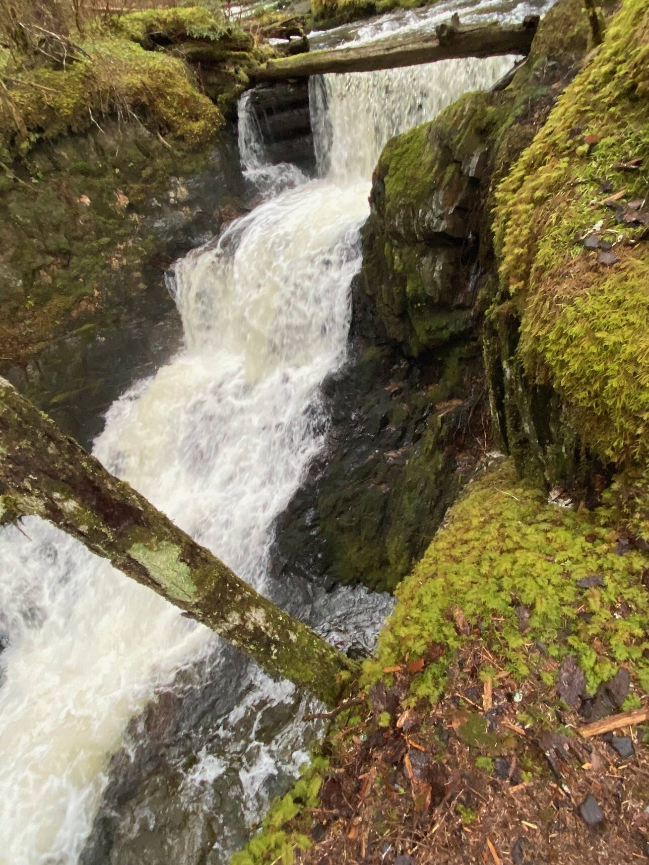 Paris Creek cascades forcefully down the mountainside after recent rain on Nov. 25. (Photo by Denise Carroll)
