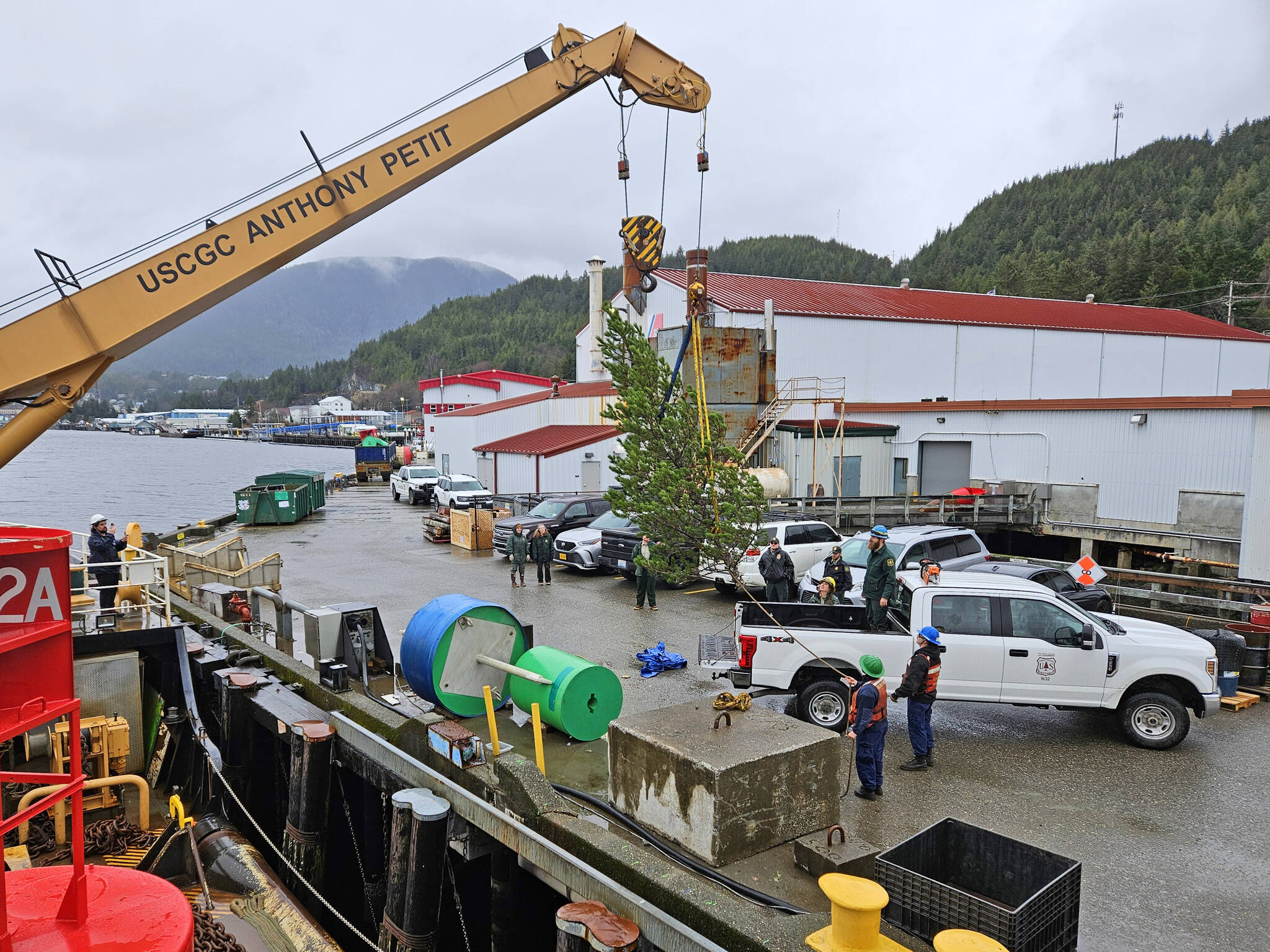 A 15-foot-long lodgepole pine is loaded from a truck onto the U.S. Coast Guard vessel Anthony Petit on Nov. 30. (Photo courtesy of the U.S. Forest Service)