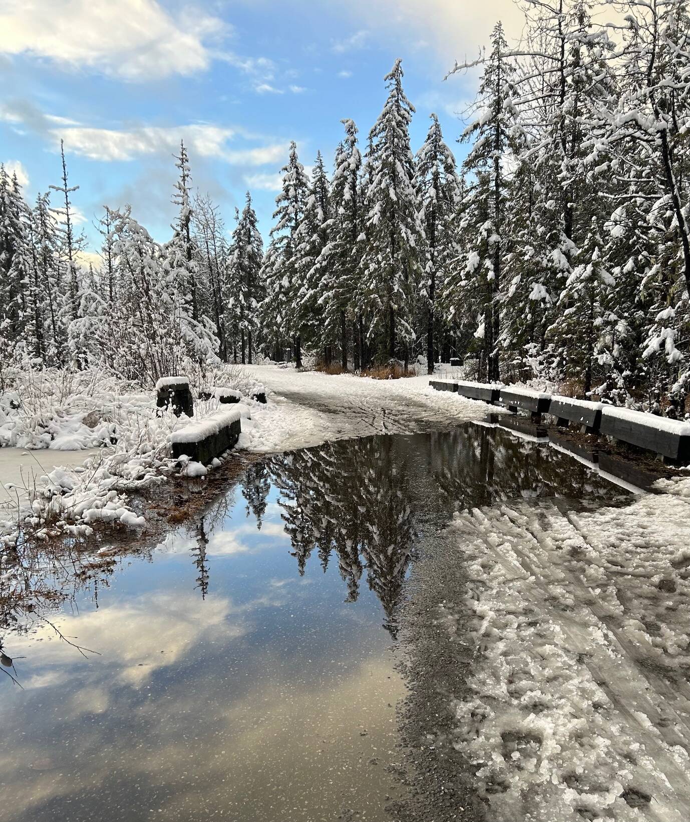 A reflection on water at Mendenhall Campground on Dec. 16. (Photo by Deborah Rudis)