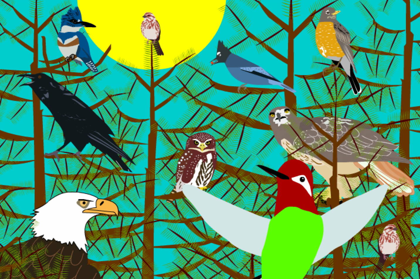 A still image of “Birds!” from “SHI: Language Games.” (Image courtesy of Sealaska Heritage Institute)