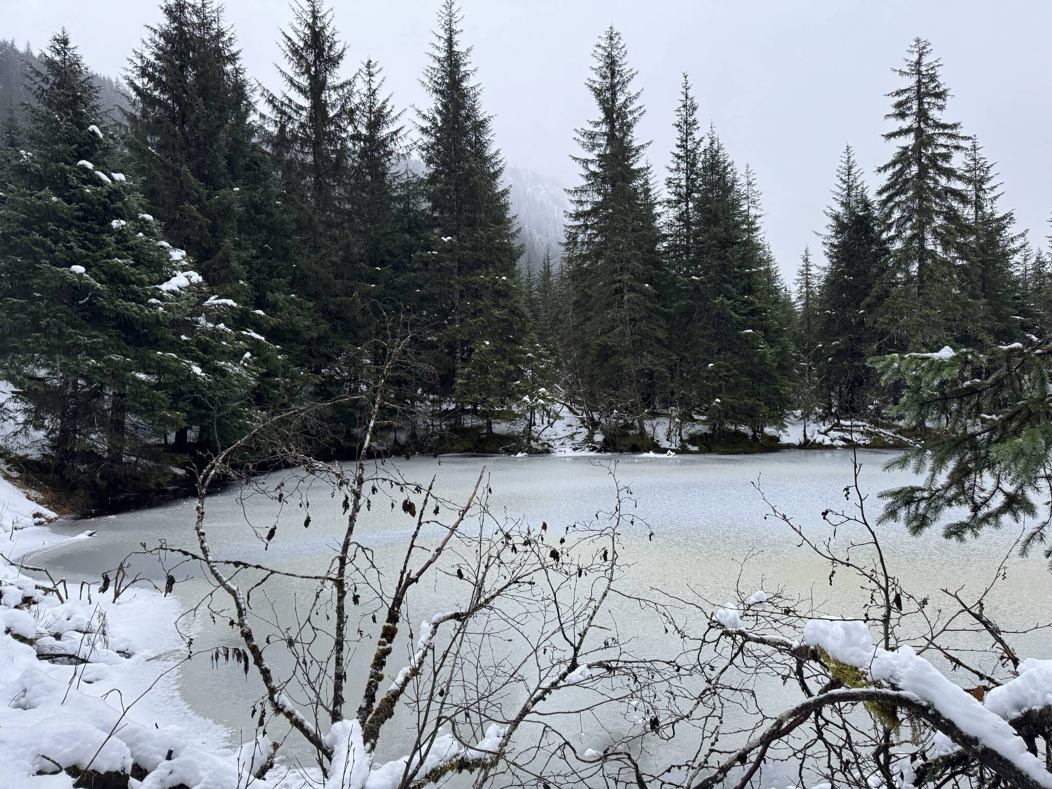 A semi-frozen pond along the Nugget Falls Trail on Dec. 24. (Photo by Deana Barajas)