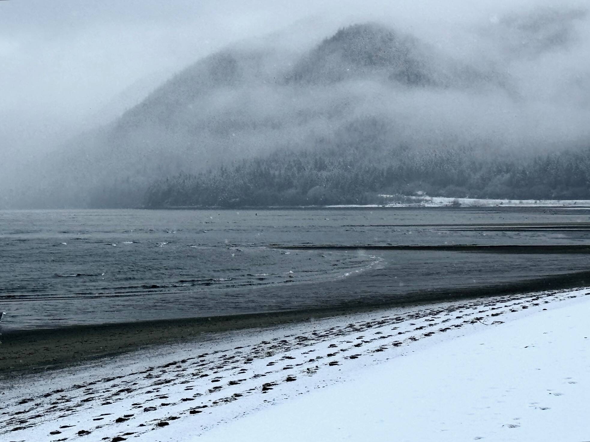 Snowflakes, clouds and footprints greet visitors on New Year’s Day at the Boy Scout Beach Trail. (Photo by Denise Carroll)