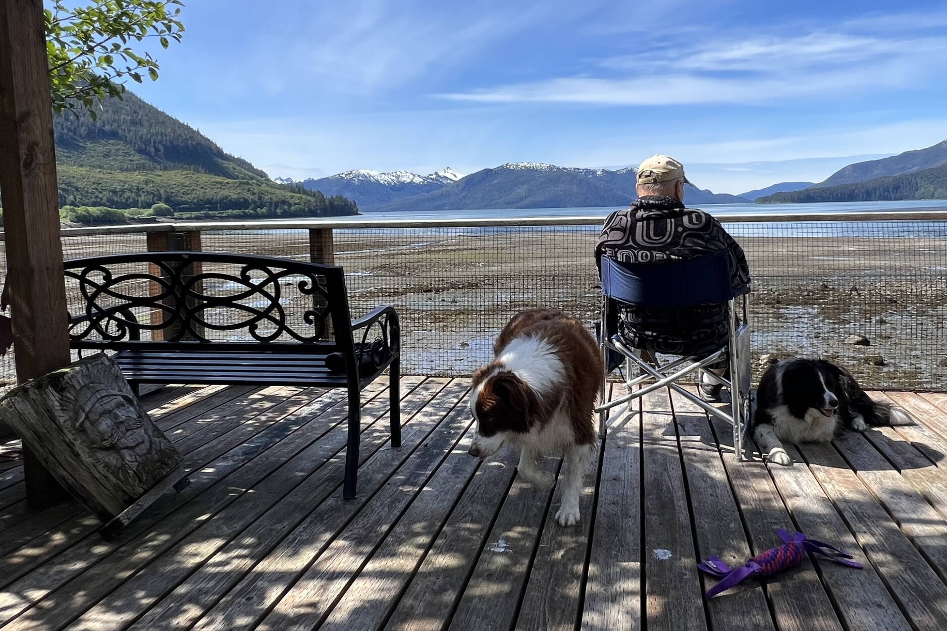 Mickey Prescott and dogs watch for fish jumps in Wrangell. (Photo by Vivian Faith Prescott)