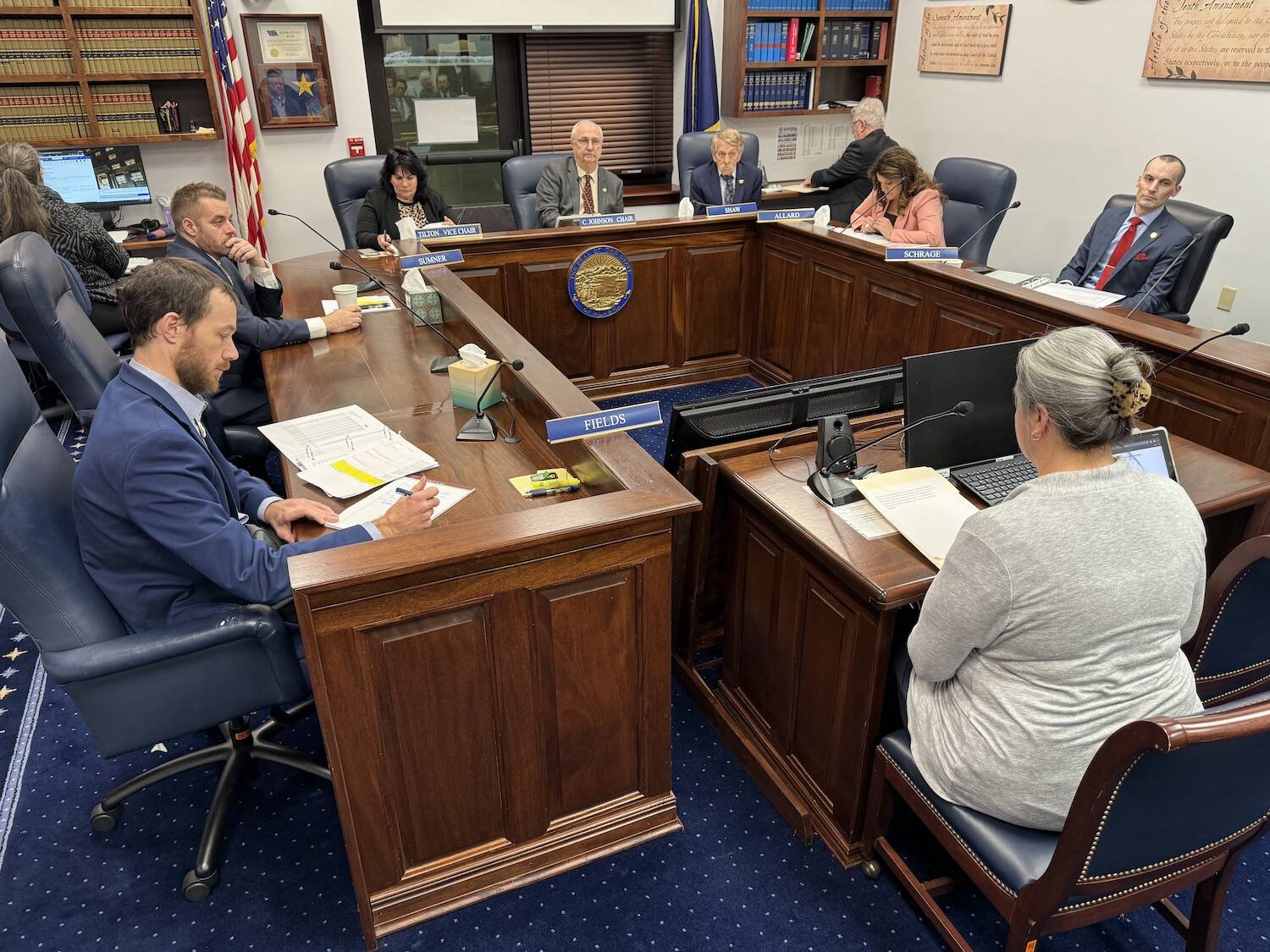 Members of the House Rules Committee hear testimony from staff for Sen. Lyman Hoffman, D-Bethel, about Senate Bill 140 on Wednesday. (Photo by James Brooks/Alaska Beacon)