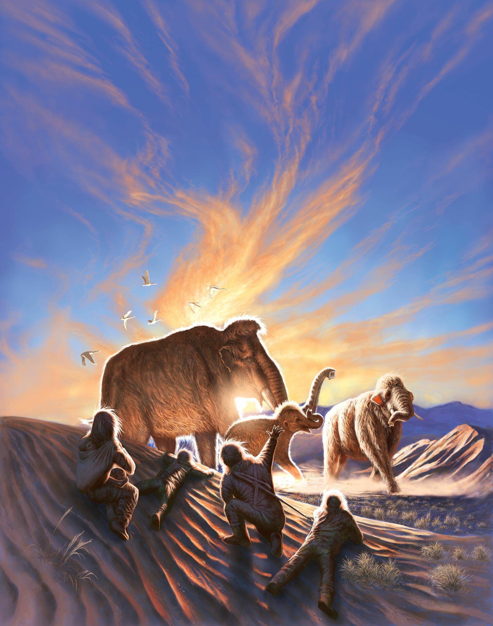 In this work of art produced by Julius Csotonyi, a group of ancient people watch mammoths roam over sand dunes in Interior Alaska, north of Swan Point archeological site. (Artwork by Julius Csotonyi)