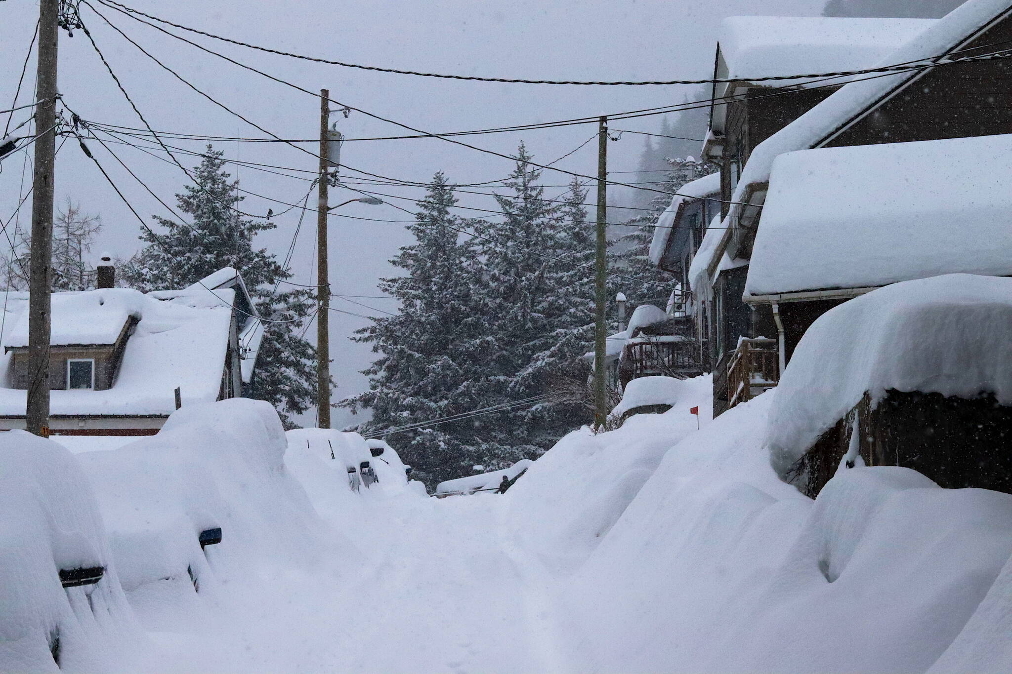 Cars and a hillside street in downtown Juneau are buried under thick snow from a storm that began Sunday and is expected to continue until Tuesday. (Mark Sabbatini / Juneau Empire)