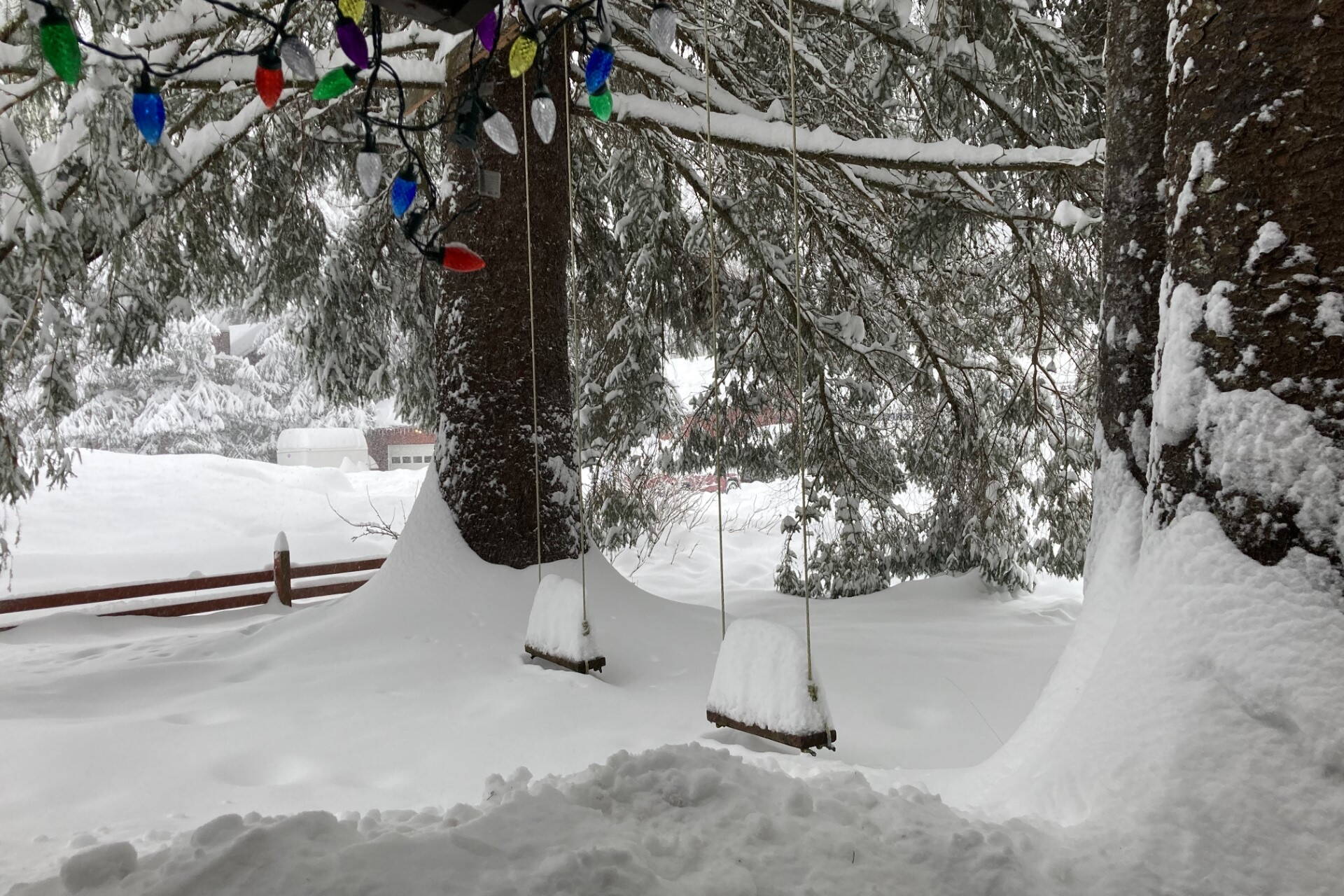 Holiday lights remain strung in a backyard covered with record snowfall a month after Christmas. (Photo by Peggy McKee Barnhill)