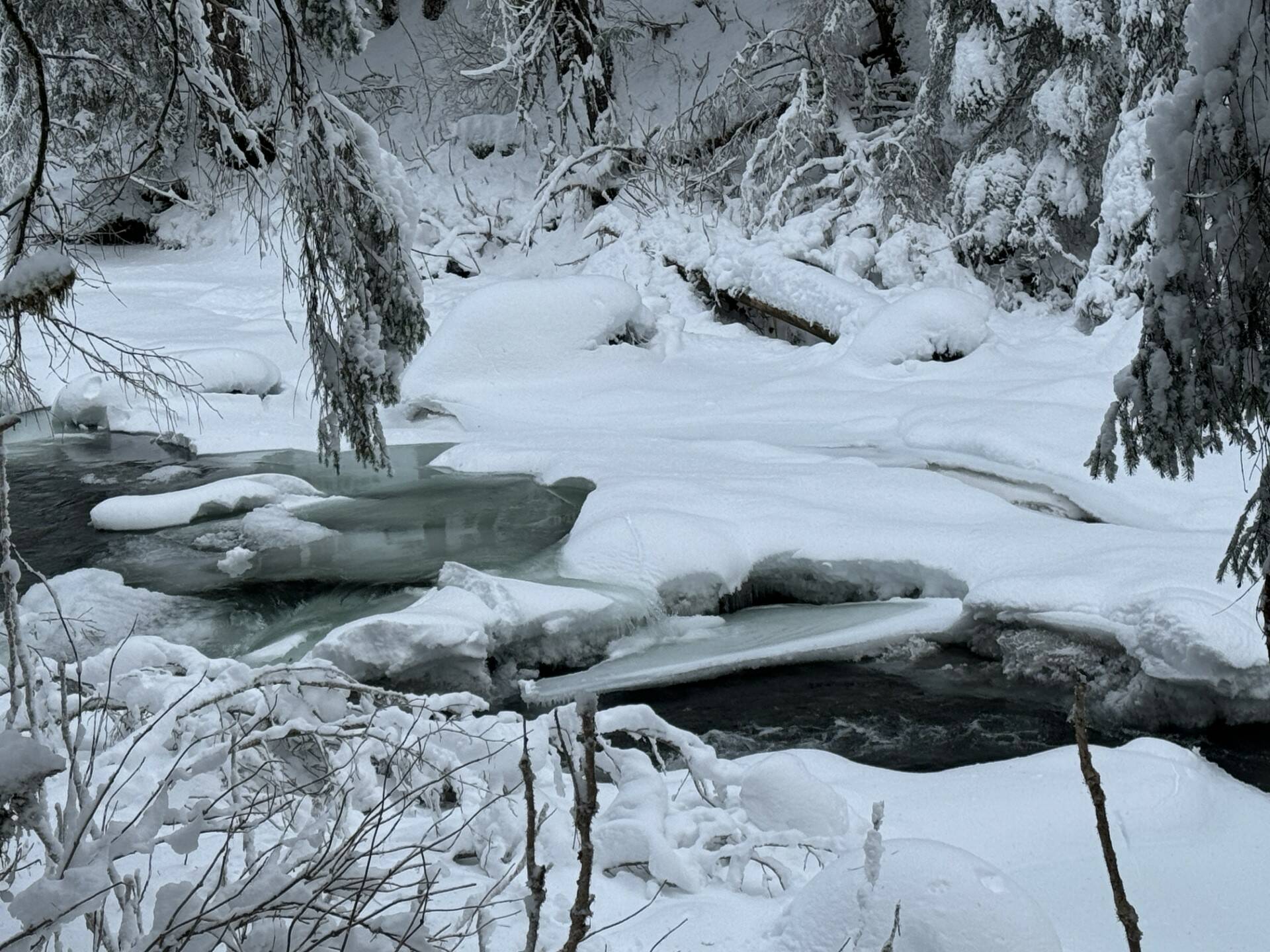 Ice, snow and water mingle along the Montana Creek Trail on Jan. 21. (Photo by Deana Barajas)