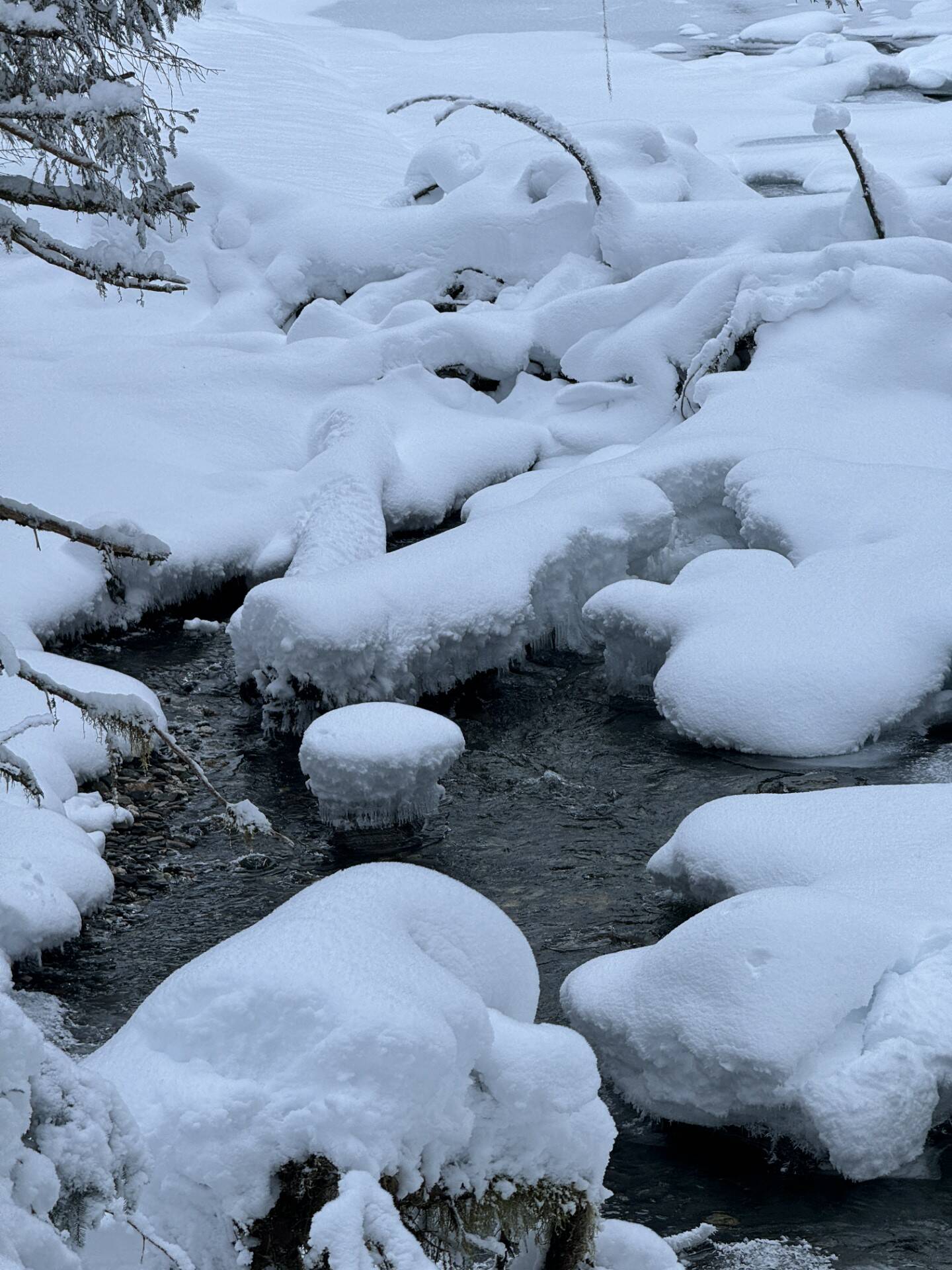 Snow makes a mystery of what’s safe to cross in the stream along the Montana Creek Trail on Jan. 21. (Photo by Deana Barajas)
