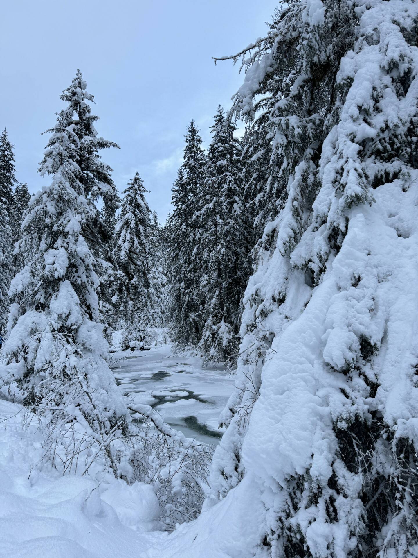Patches of open water are seen under the snow cover along the Montana Creek Trail on Jan. 21. (Photo by Deana Barajas)