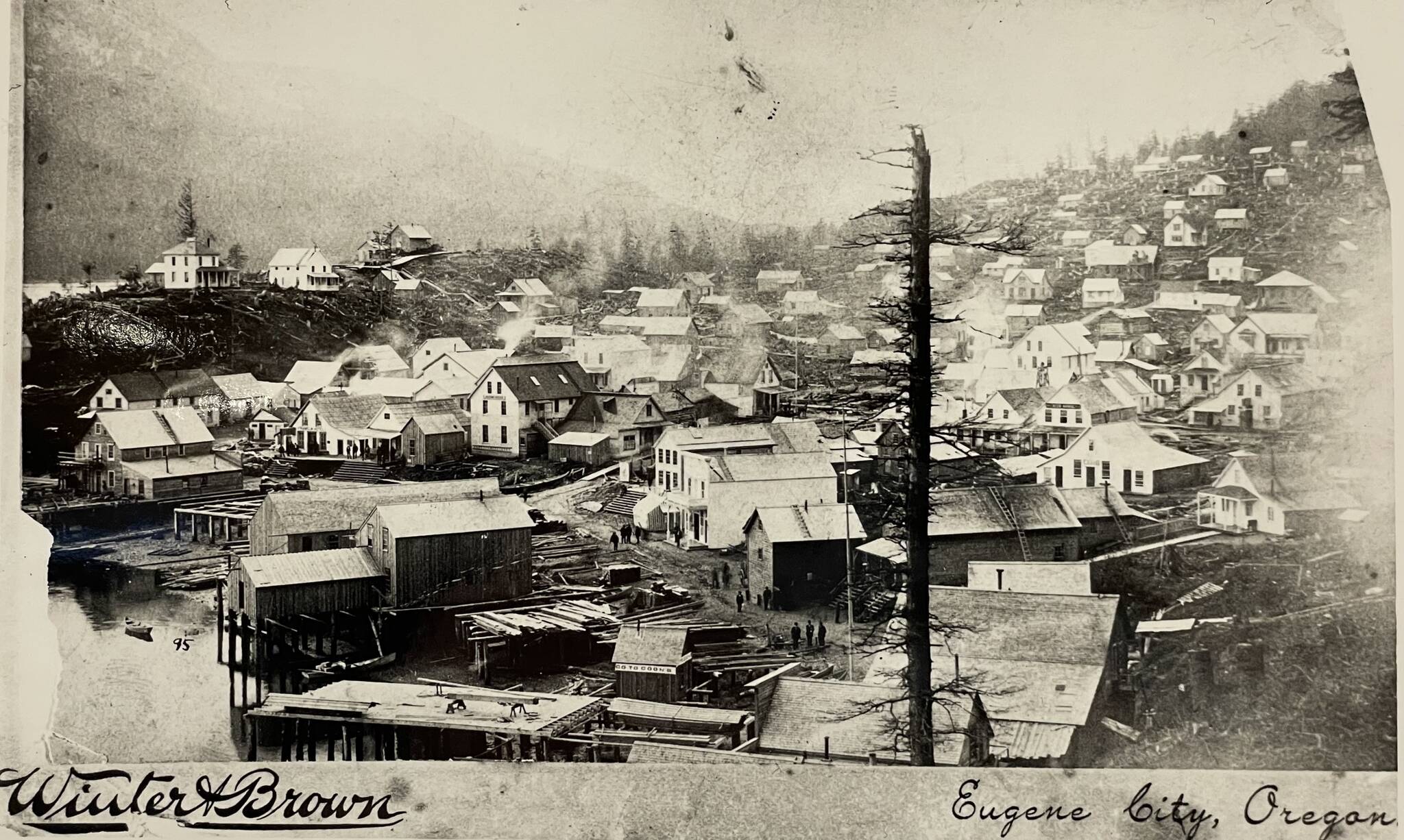An 1886 photo by Winter and Brown showing a stump-dotted Juneau with early homes erected on the area called Telephone Hill today. (Alaska State Library PCA 114-35)