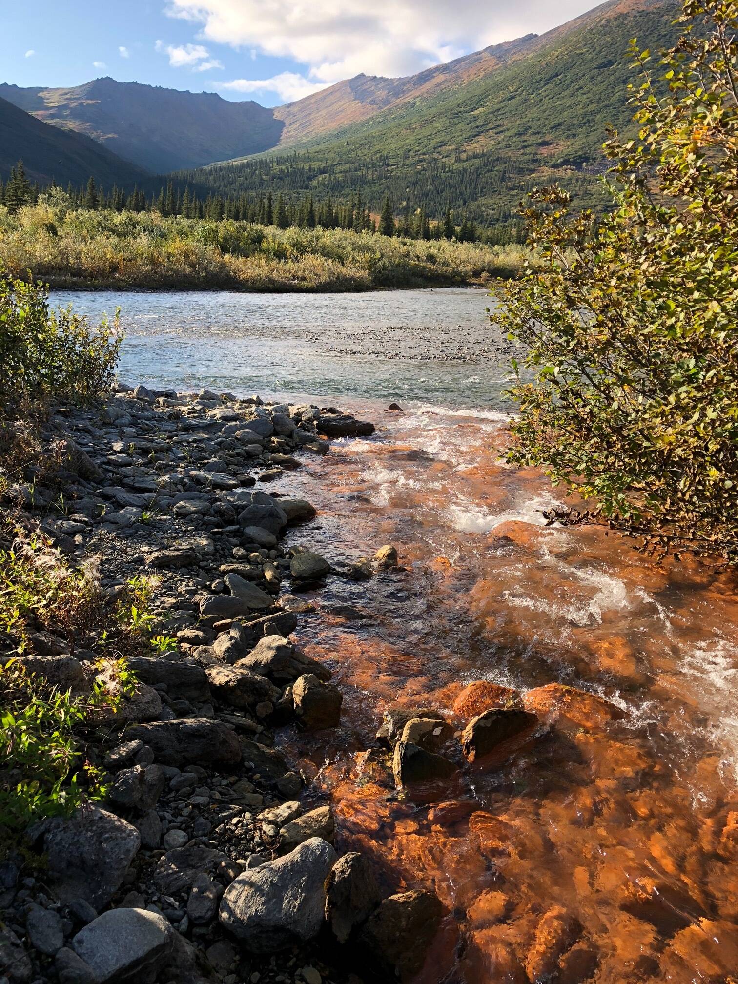 A tributary of the Akillik River in Kobuk Valley National Park in August 2018 after it had turned rusty orange. (Photo by Jon O’Donnell)