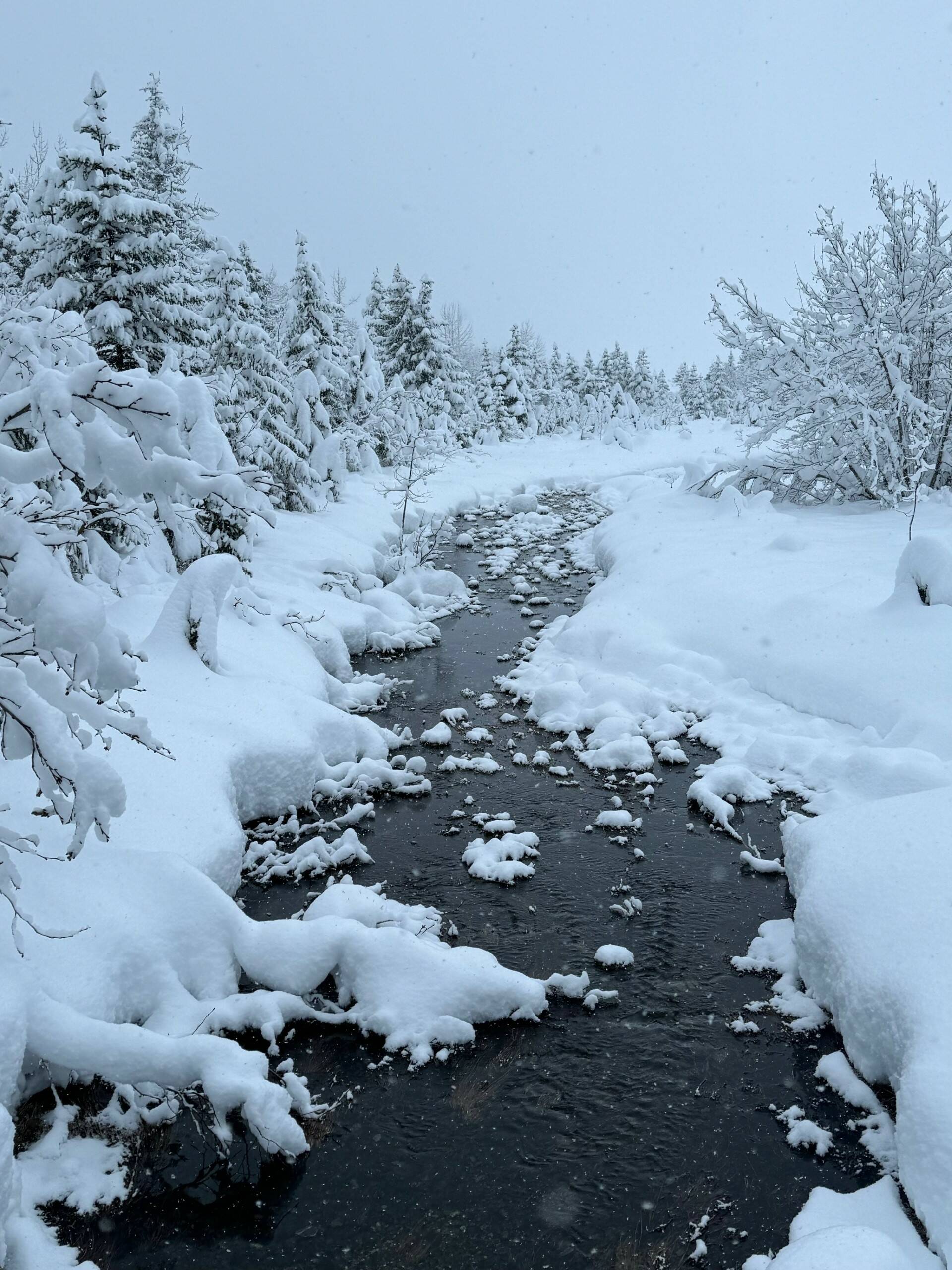 A gentle brook in a snowy paradise off the trail to Nugget Falls on Feb. 3. (Photo by Denise Carroll)