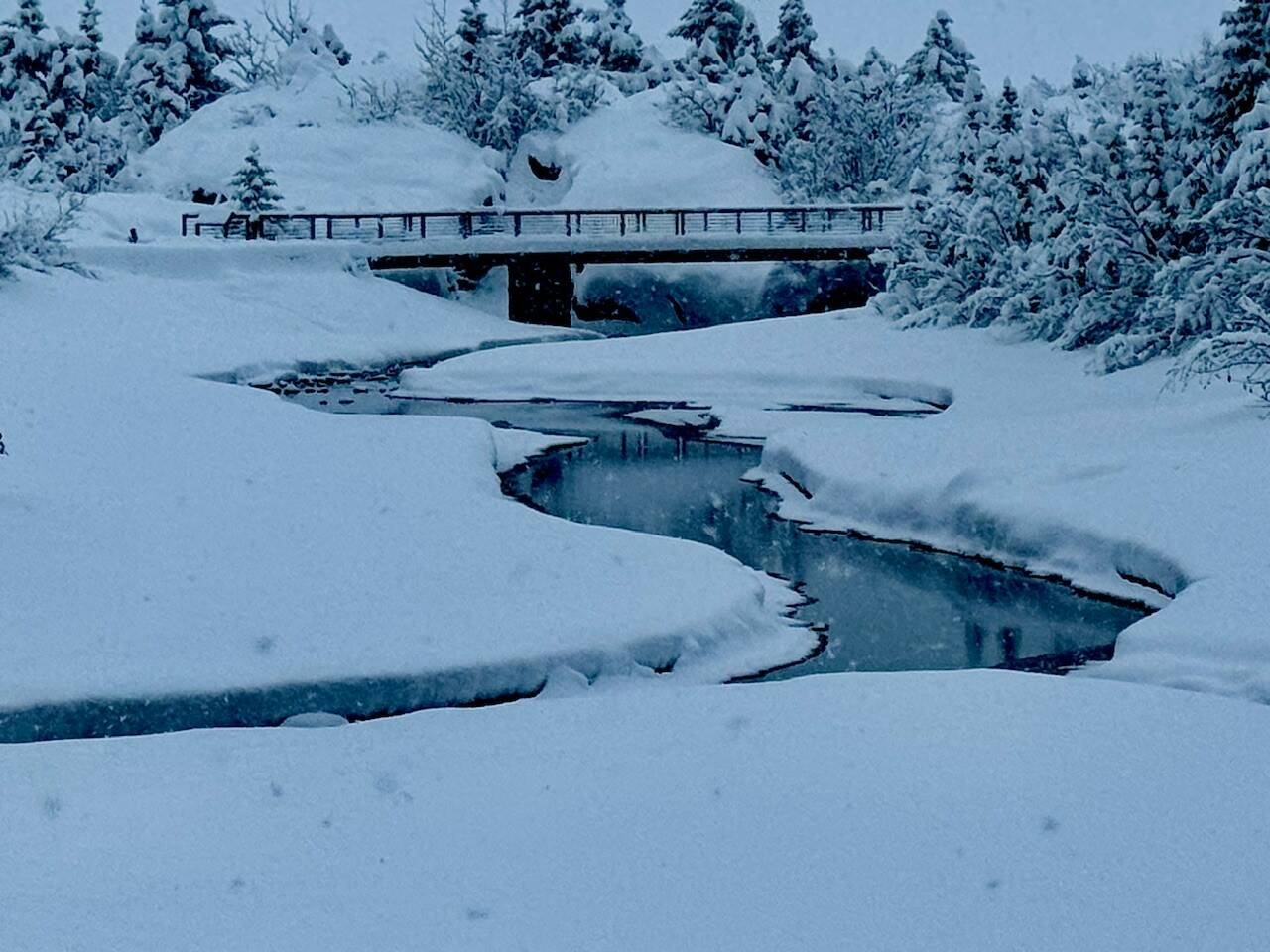 A slow-moving creek winds its way under the lookout point bridge near the Mendenhall Glacier on Feb. 3. (Photo by Denise Carroll)