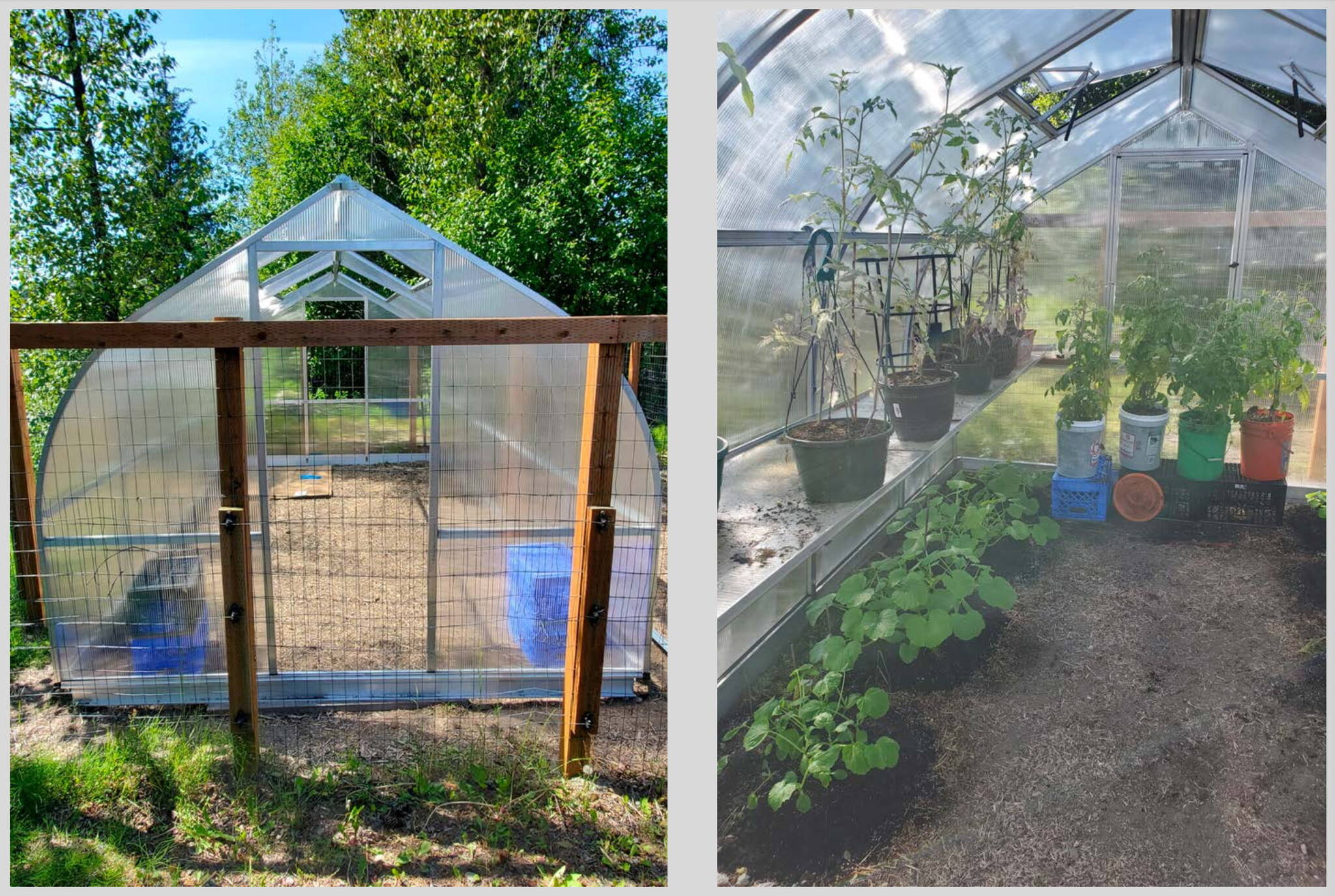 A greenhouse operated by the Southeast Alaska Food Bank was purchased with a state grant, with the organization hoping to buy two more greenhouses with funding from the Food Bank of Alaska. (Photos by the Southeast Alaska Food Bank)