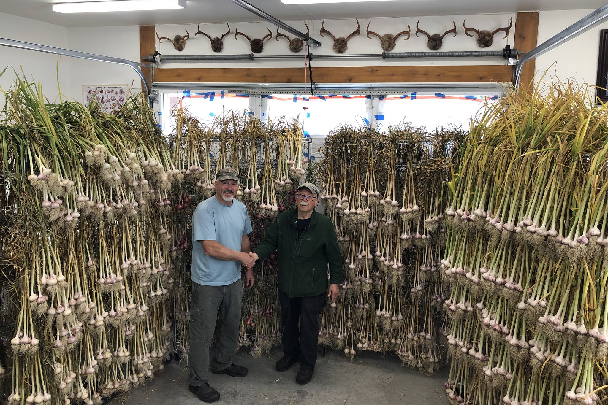 Joe Orsi (left) and Sam Bertoni stand next to a 3,000-plus garlic bulb harvest in Juneau in late summer of 2023. (Photo courtesy of Joe Orsi)