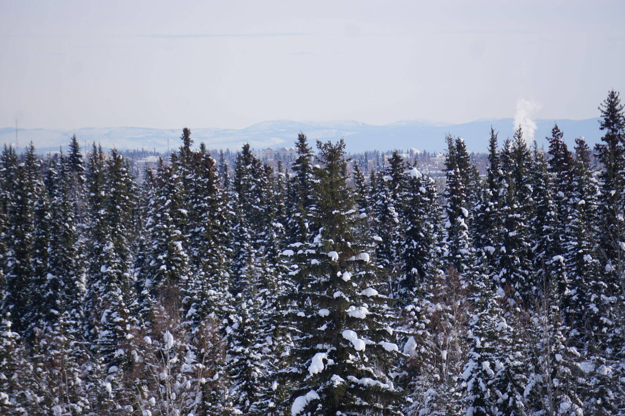 Smokestack emissions into Fairbanks atmosphere are seen on March 1, 2023, from the University of Alaska Fairbanks campus. (Yereth Rosen/Alaska Beacon)