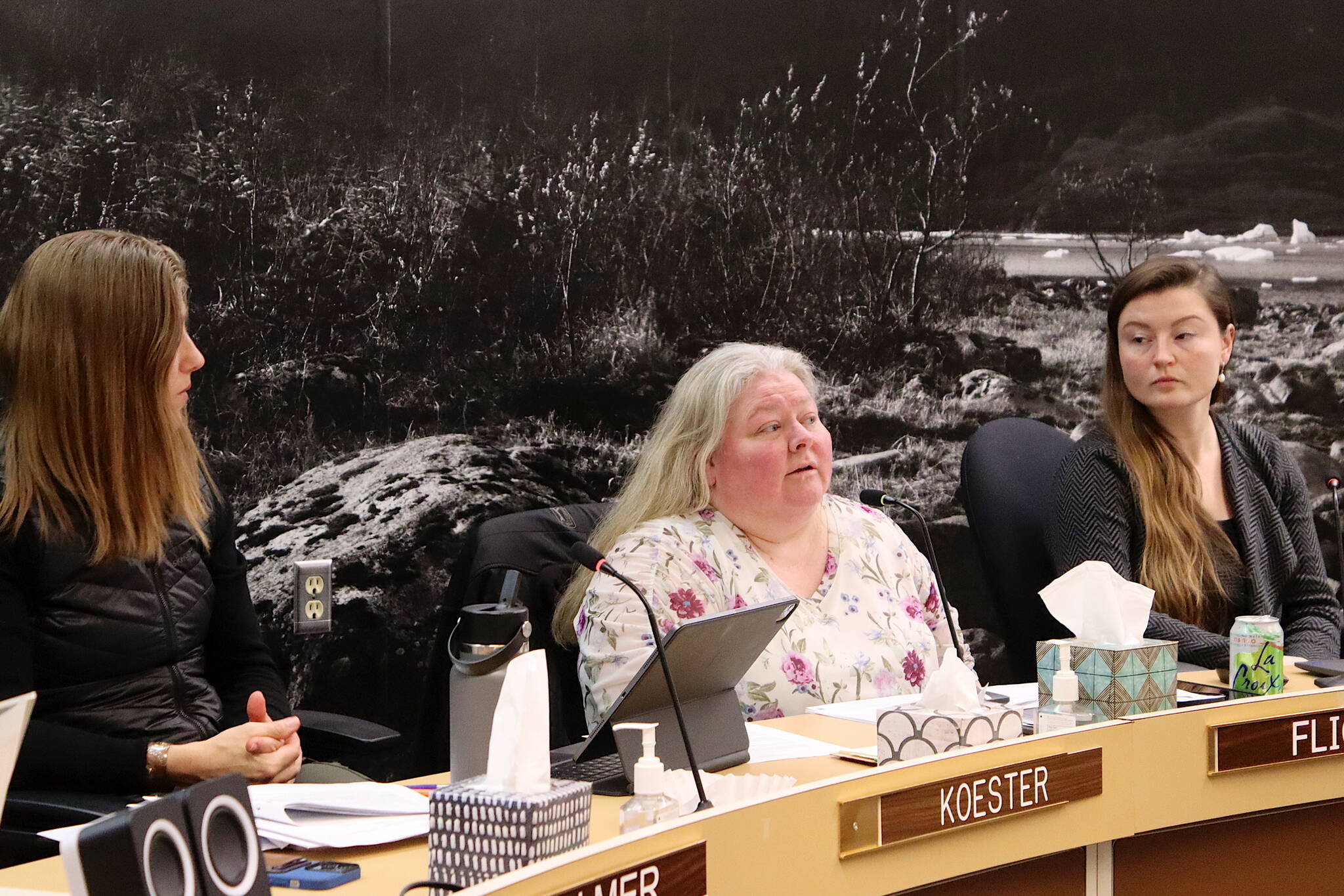 Angie Flick (center), finance director for the City and Borough of Juneau, presents an overview of local property value assessments during a meeting of the Assembly’s Finance Committee on Wednesday night. (Mark Sabbatini / Juneau Empire)
