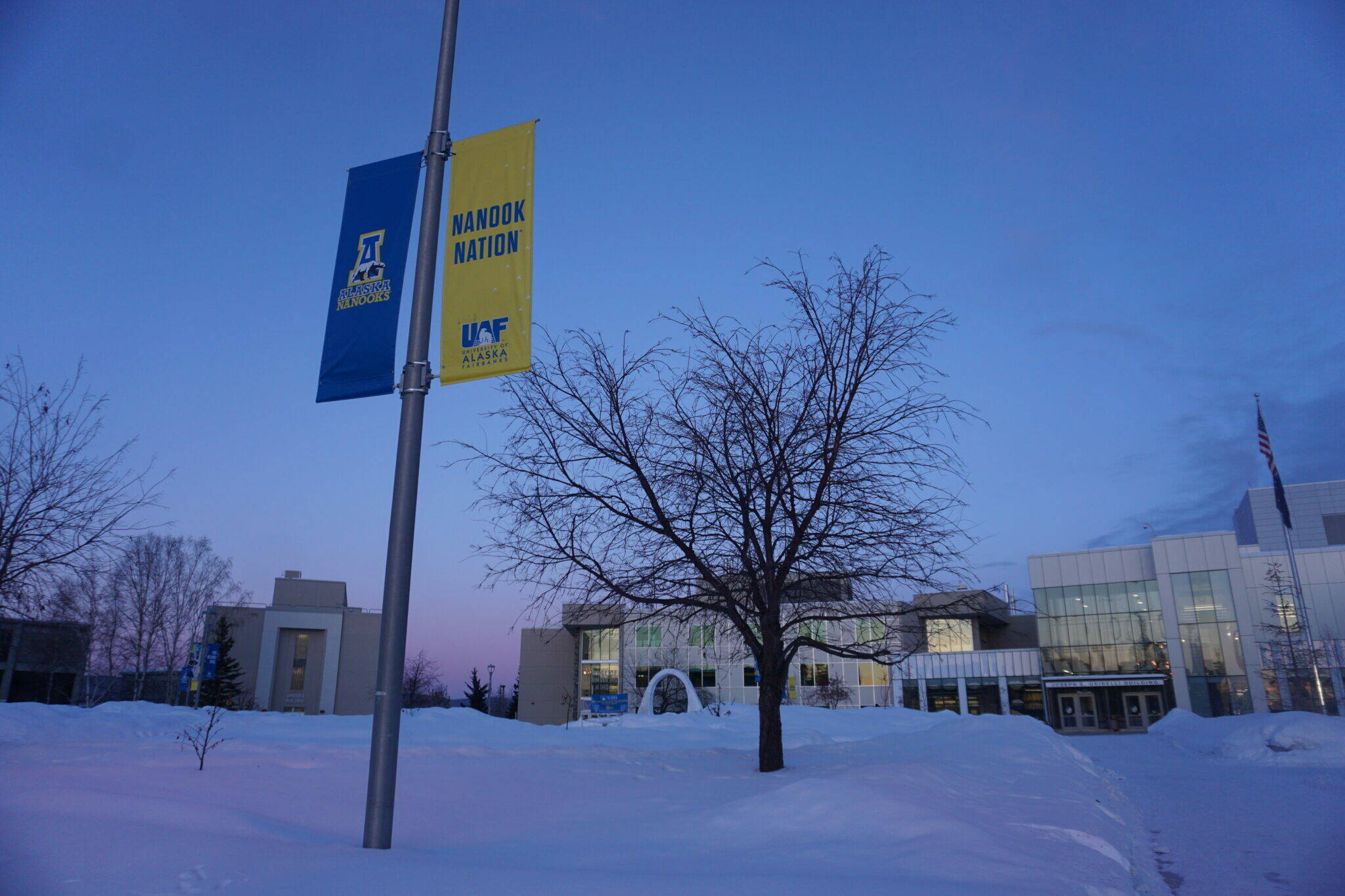 Sunset hues color the sky and the snow at the University of Alaska Fairbanks campus on Feb. 26. Enrollment in the University of Alaska system is growing, as are research programs, notably the Arctic-focused programs for which UAF is famous, said University of Alaska President Pat Pitney. (Yereth Rosen/Alaska Beacon)
