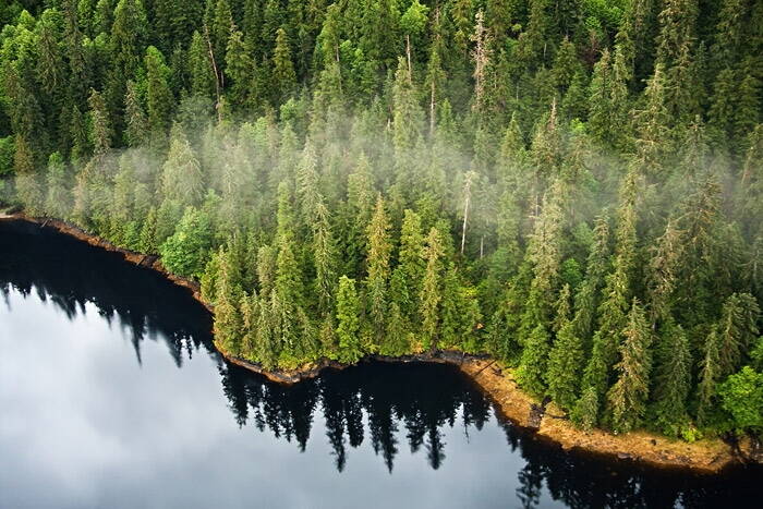 Tongass National Forest (Photo by U.S. Forest Service)