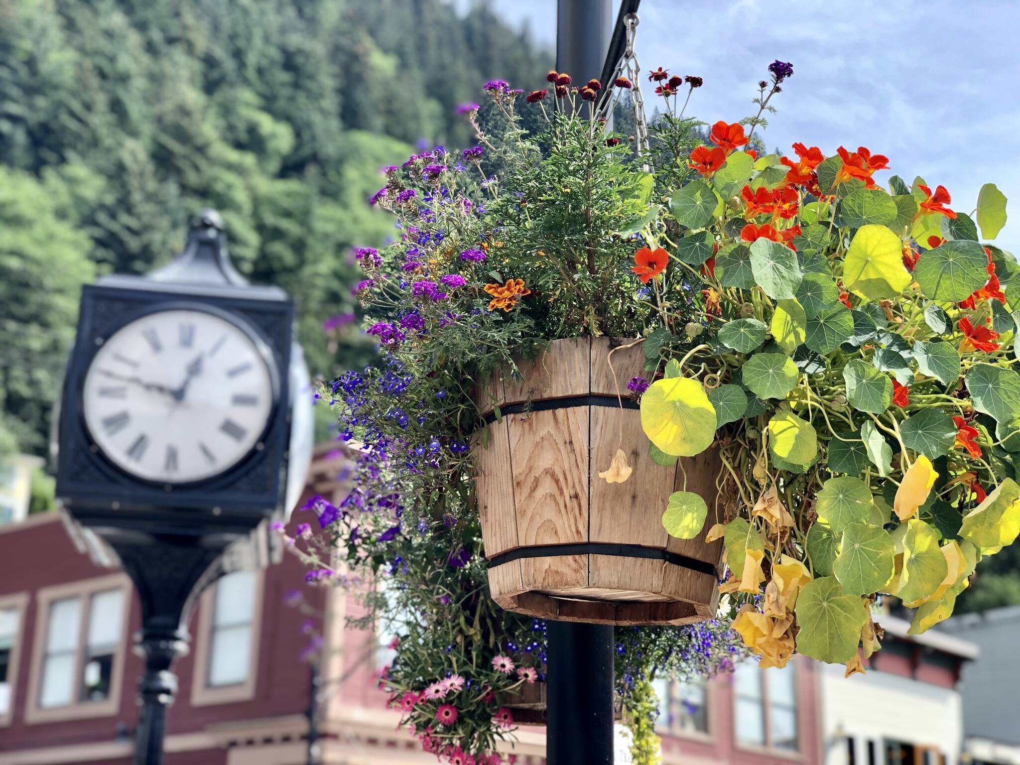 Flowers from the city’s Adopt-A-Flower program hang downtown. (City and Borough of Juneau photo)