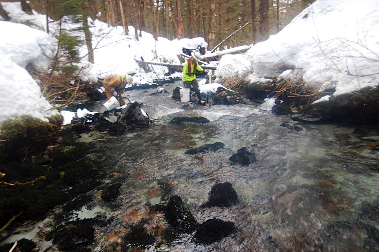 Employees at the Kensington Mine removing tailings from Johnson Creek on Feb. 17 following a Jan. 31 spill of about 105,000 gallons of slurry from the mine, although a report by the mine’s owners states about half slurry reached the creek 430 meters away. (Photo from report by Coeur Alaska)