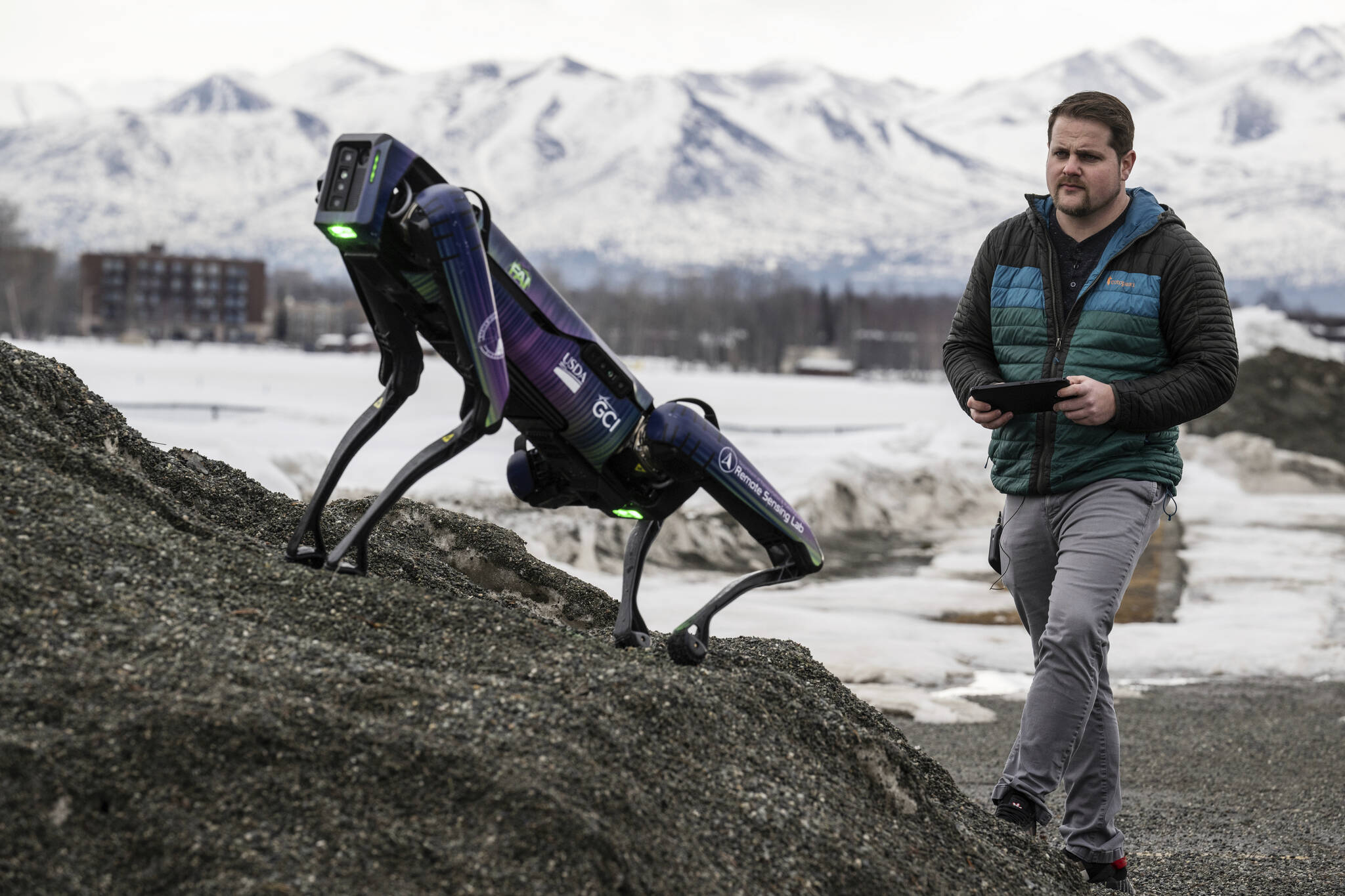 Alaska Department of Transportation program manager Ryan Marlow demonstrates the agency’s robotic dog in Anchorage on March 26. The device will be camouflaged as a coyote or fox to ward off migratory birds and other wildlife at Alaska’s second-largest airport, the DOT said. (Marc Lester/Anchorage Daily News via AP)