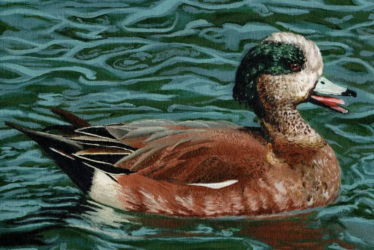 The 2024 Alaska Junior Duck Stamp Contest winning painting of an American Wigeon titled “Perusing in the Pond” by Jade Hicks, a student at Thunder Mountain High School. (Photo courtesy of the U.S. Fish and Wildlife Service)