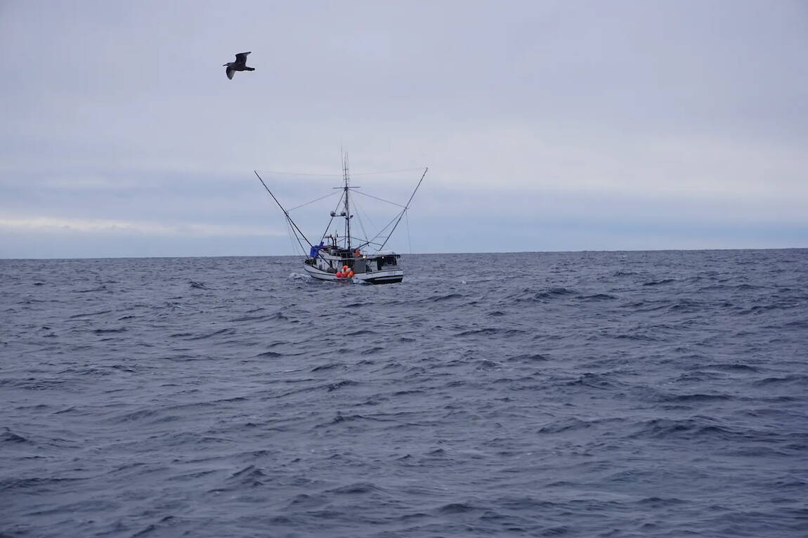 A troller plies the waters of Sitka Sound in 2023. (Photo by Max Graham)