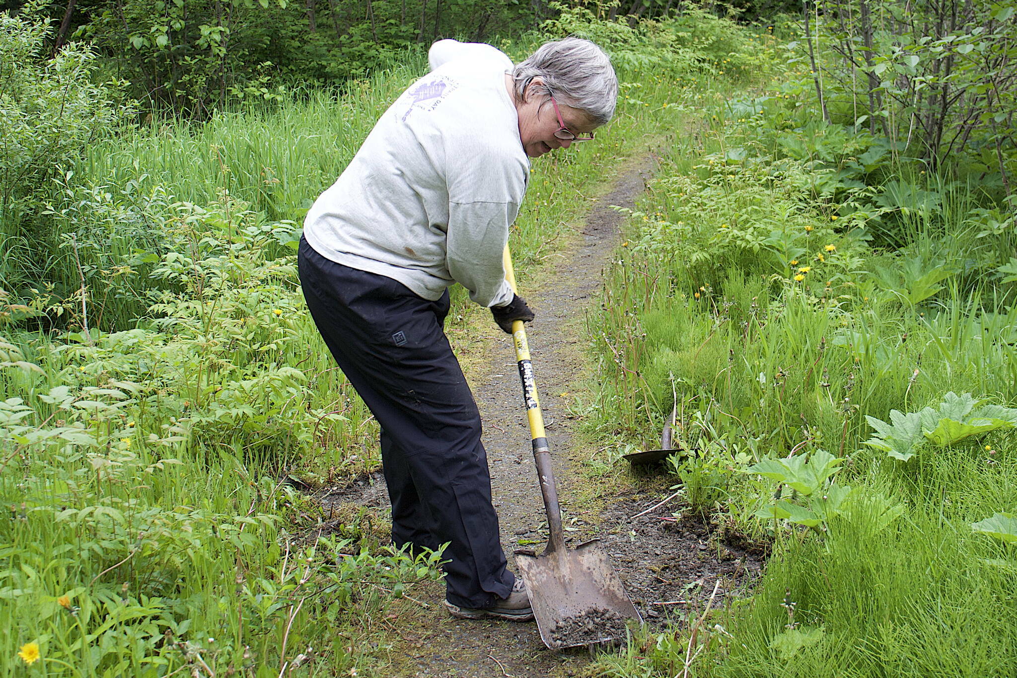 Kim Kiefer, a former city manager and Parks and Director for the City and Borough of Juneau, uses a shovel to clear vegetation from the Kingfisher Pond Loop Trail on Saturday, June 3, 2023. (Mark Sabatini / Juneau Empire file photo)