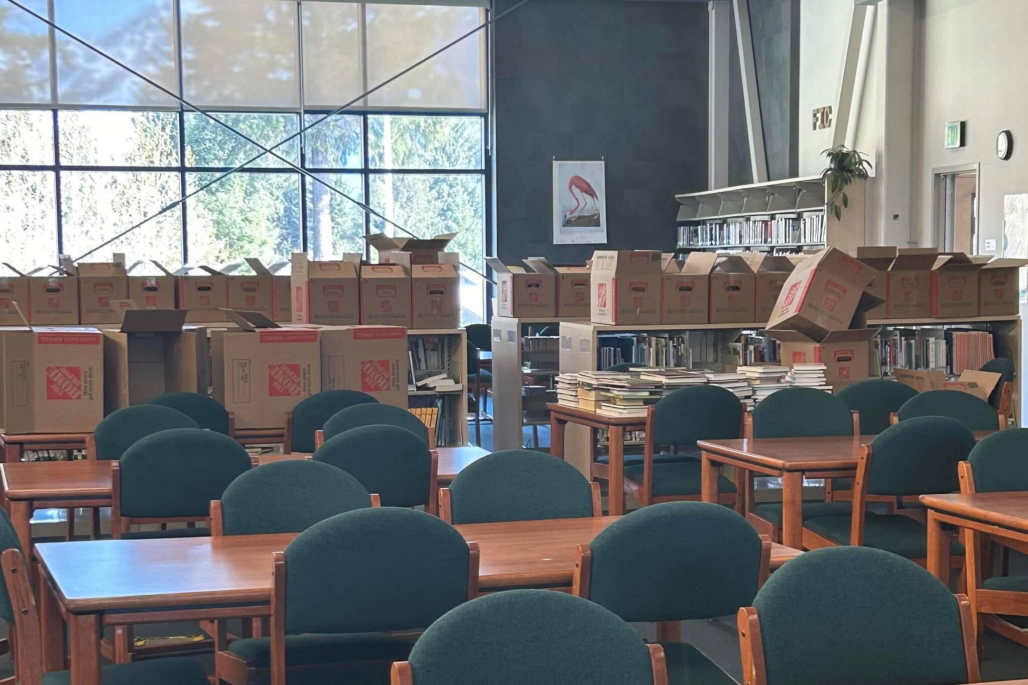 Moving boxes in the Thunder Mountain High School library. (Photo provided by Jenny Thomas)