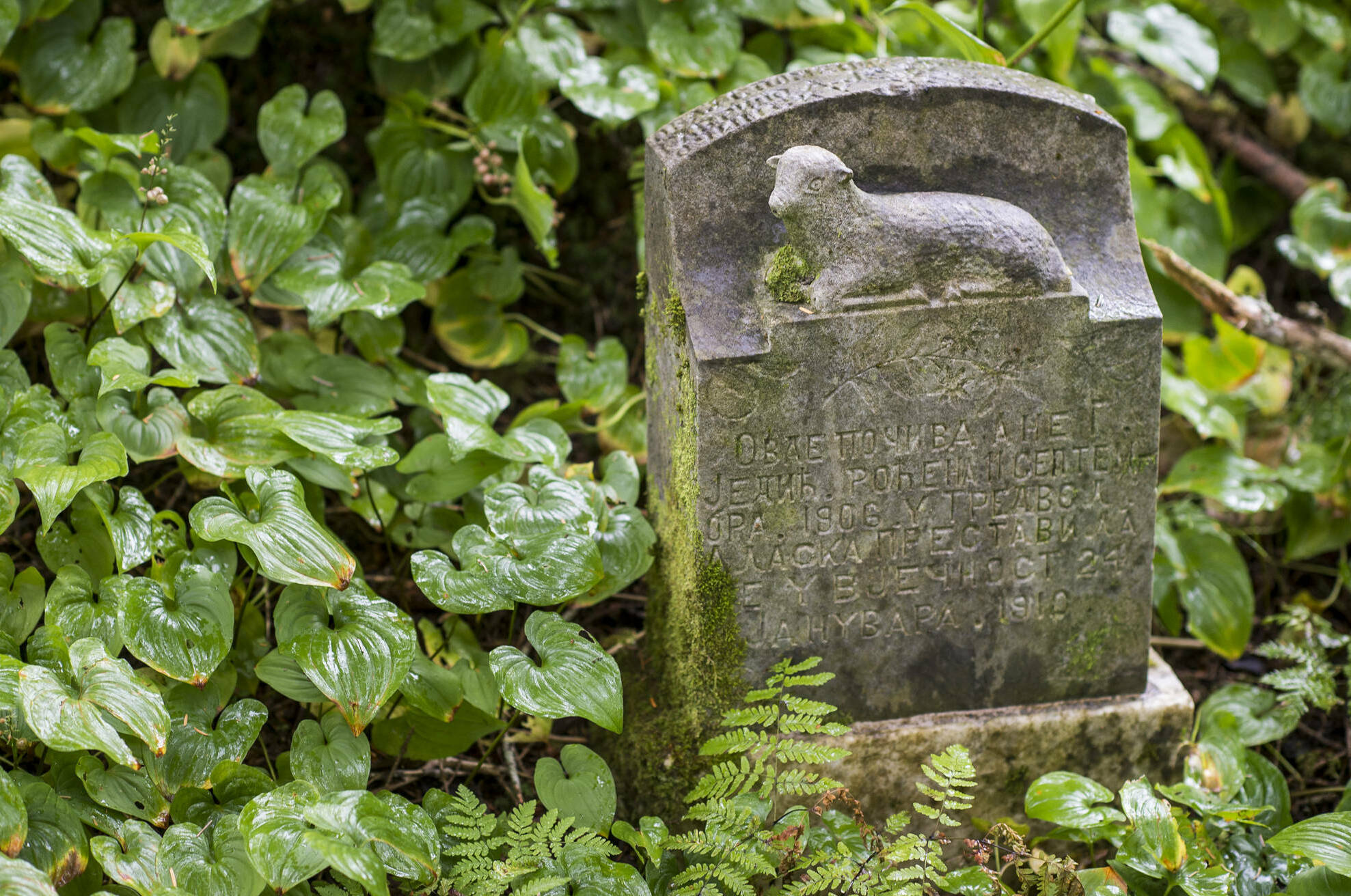 A lamb-decorated headstone lays half hidden in a cemetery section in Douglas on Monday, Aug. 13, 2018. (Michael Penn / Juneau Empire file photo)