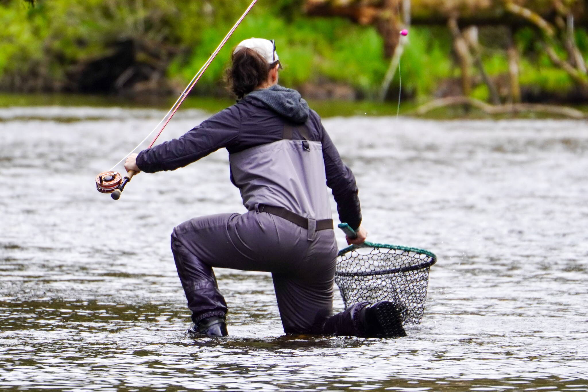 The author’s wife kneels to net a trout over the weekend. (Photo by Jeff Lund)