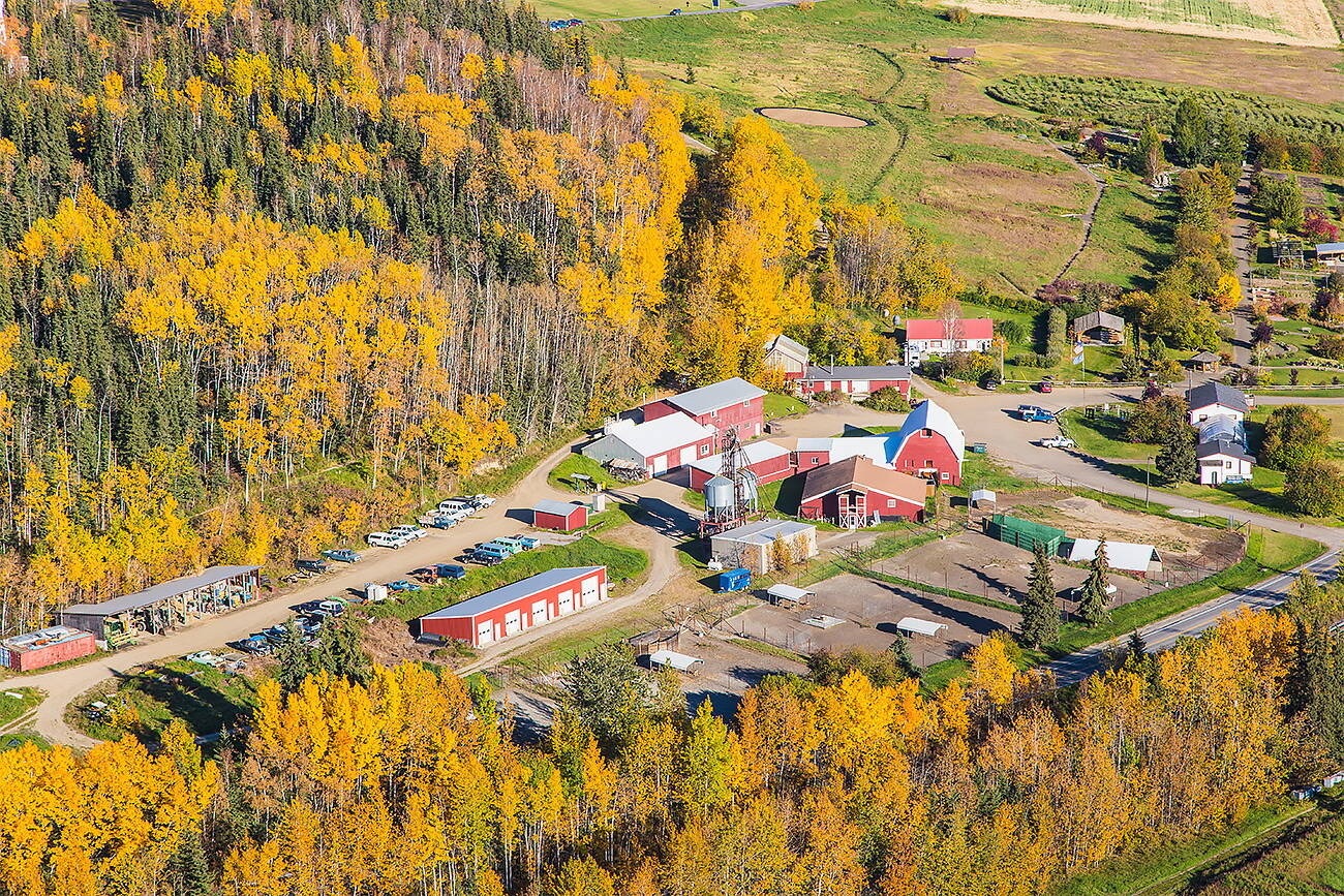 The Fairbanks Experimental Farm on the University of Alaska Fairbanks campus opened in 1906. (UAF photo by Todd Paris, taken in September 2014)