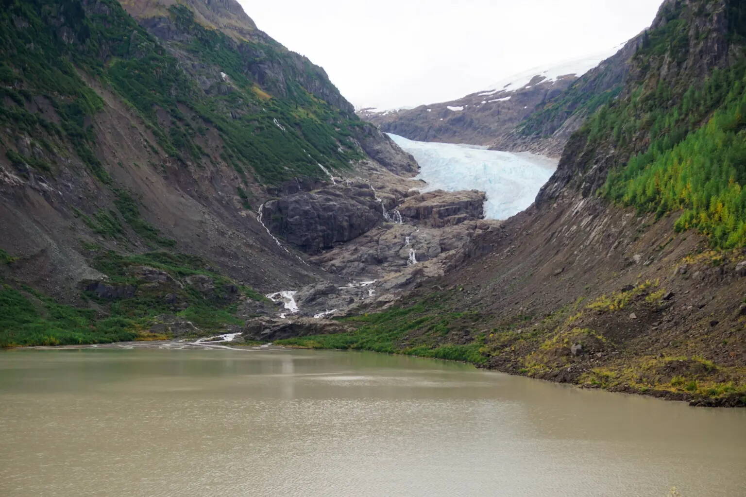 The retreat of the Bear Glacier, near Stewart, British Columbia, transformed a stream below it into a haven for salmon. (Max Graham/Grist)