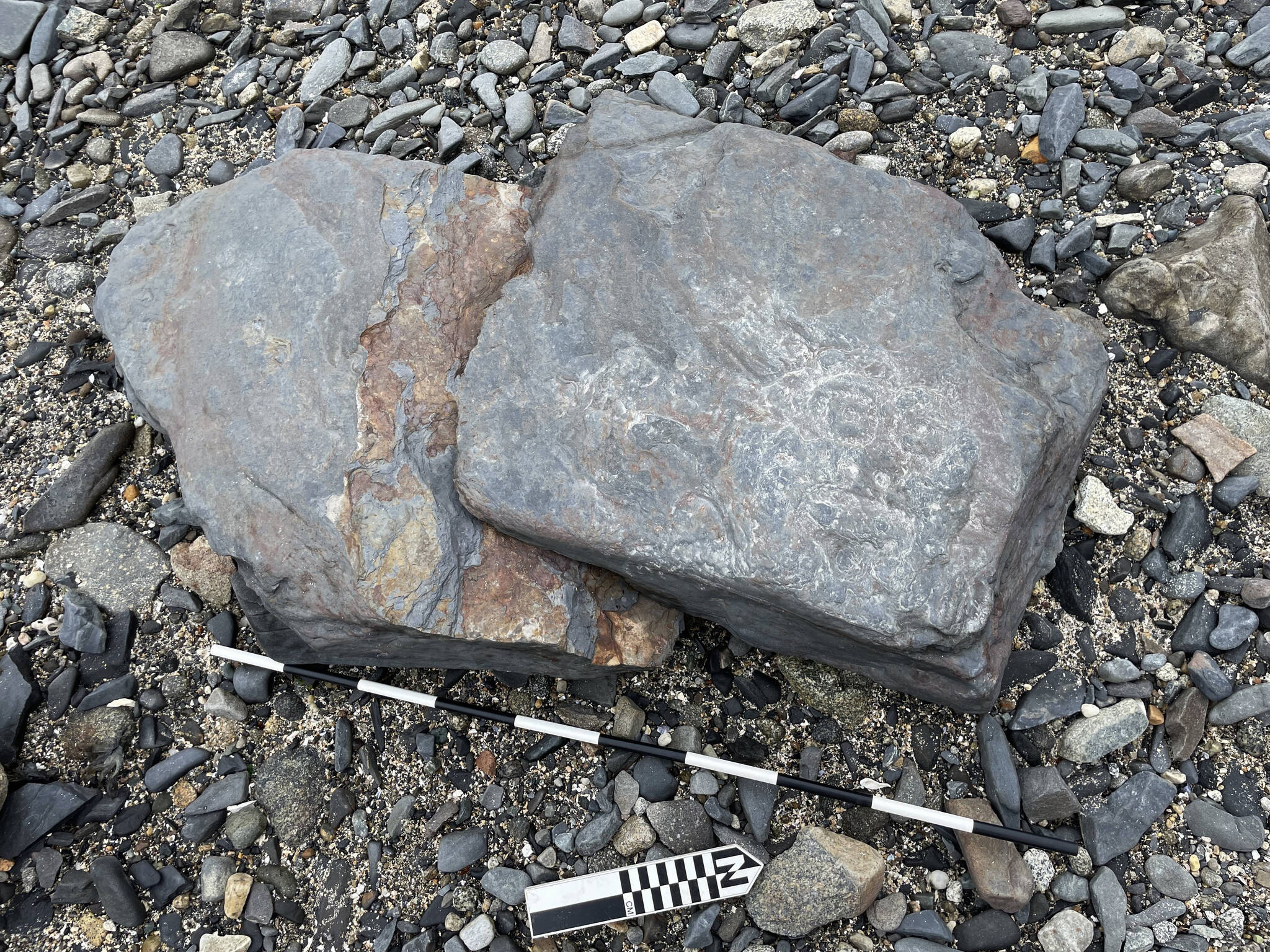 Photo courtesy U.S. Forest Service
A meter stick laid alongside the damaged petroglyph rock shows the size of the stone.