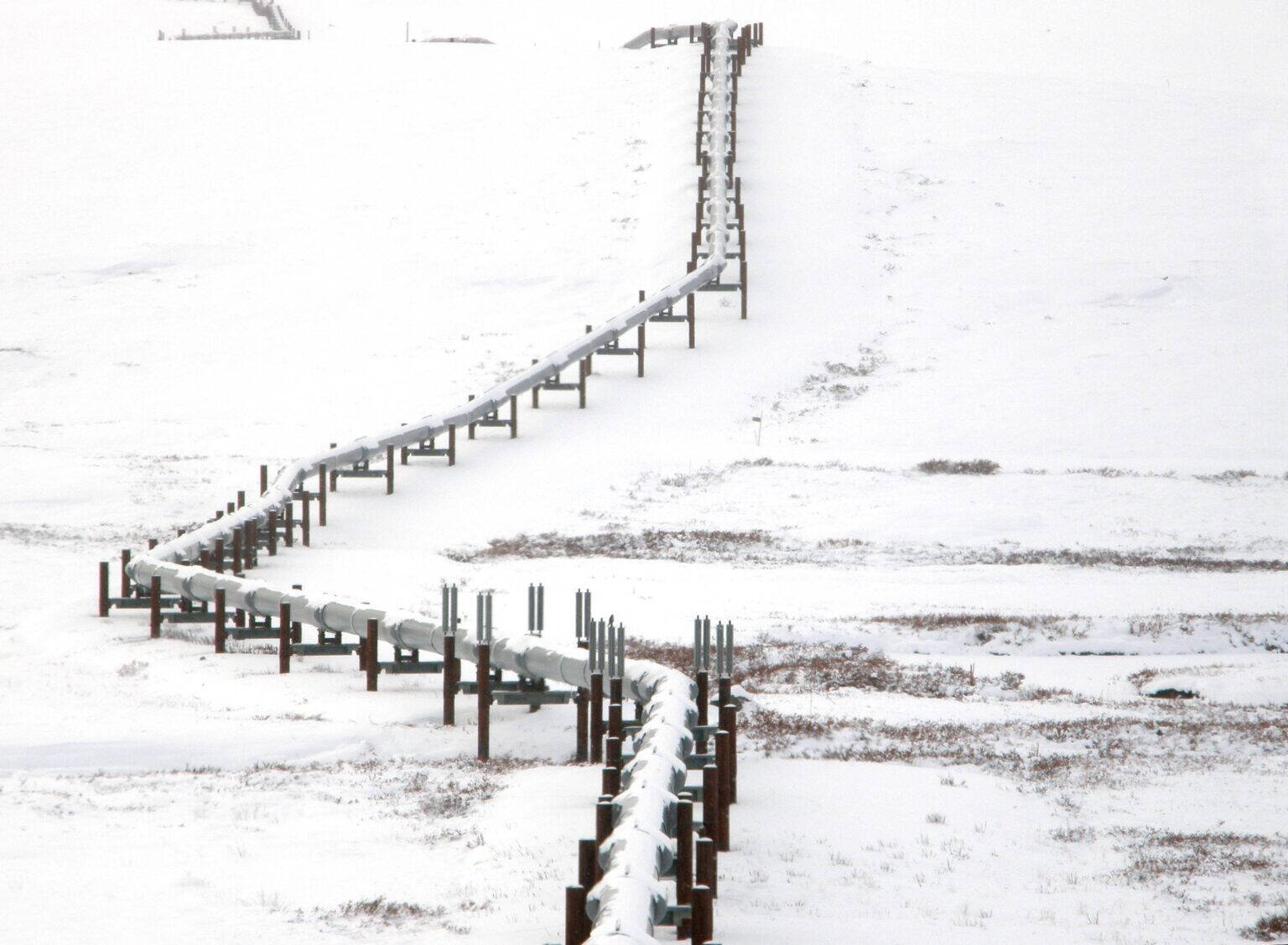 The trans-Alaska pipeline, seen on Oct. 8, 2008, threads over snow-covered terrain in the Brook Range foothills. This year’s Alaska Division of Oil and Gas North Slope areawide lease sale drew brisk bidding and netted about $17 million, according to results released on Wednesday. (Photo by Craig McCaa/U.S. Bureau of Land Management)