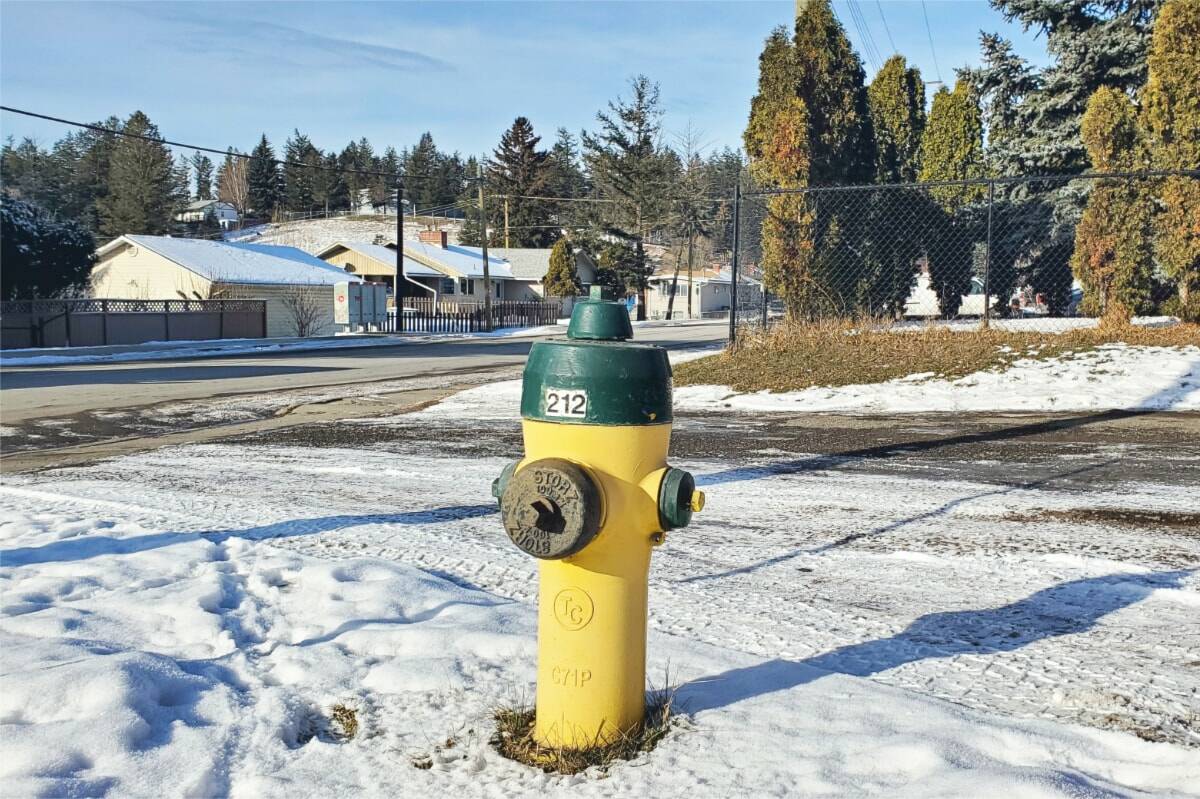 Capital City Fire Rescue is asking Juneau residents to dig out fire hydrants near their homes and businesses as heavy snow continues. File photo