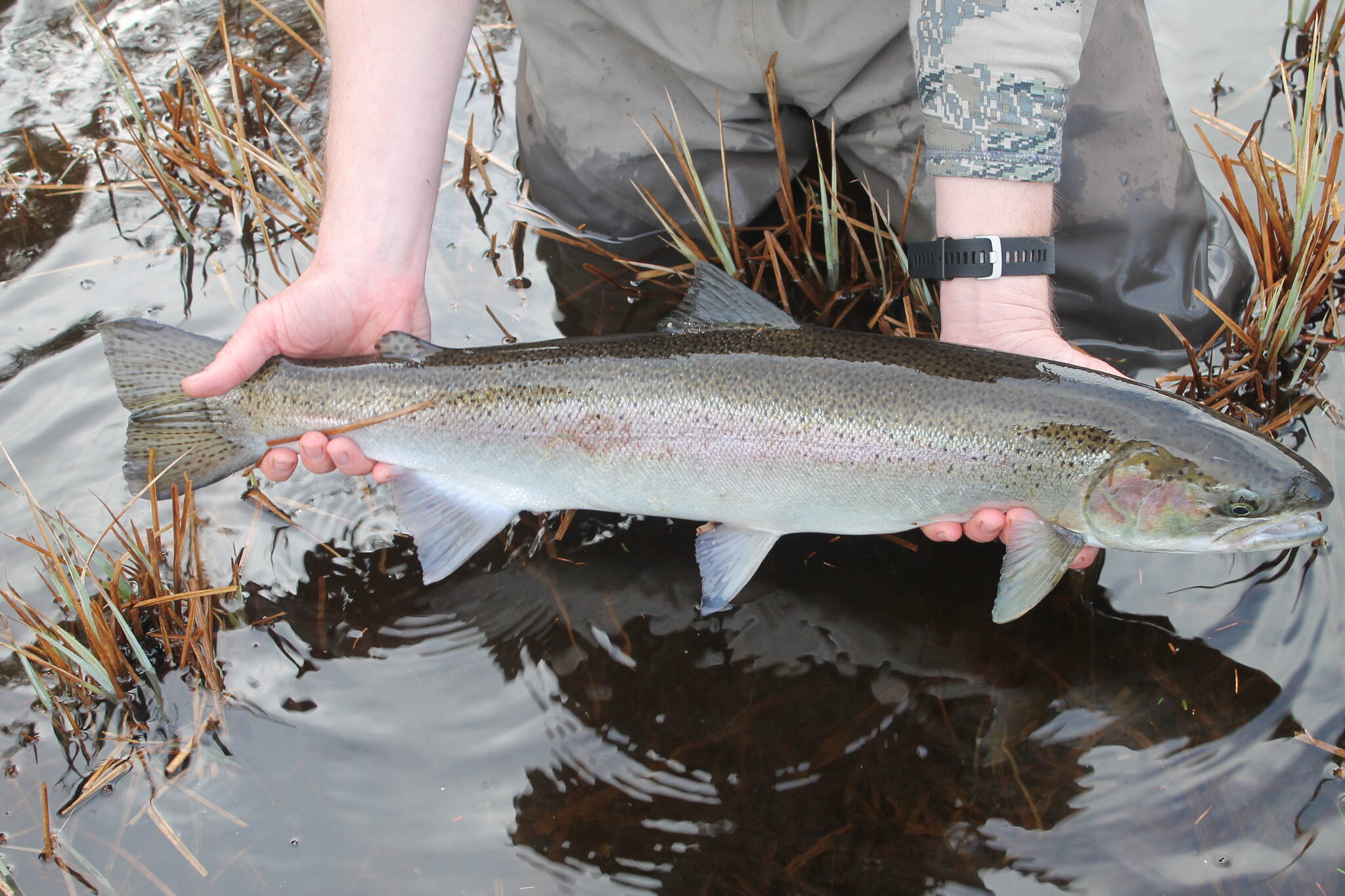 Jeff Lund/contributed
The author would rather fish for steelhead, but hell watch the Super Bowl.