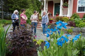 Inside seven of Juneau’s greatest gardens