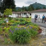 Inside seven of Juneau’s greatest gardens