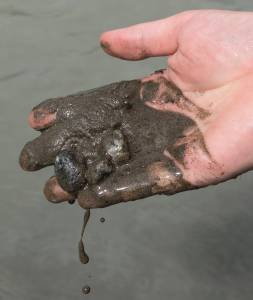 A handful of rock flour, or glacial flour, scooped up at Mendenhall Lake on Wednesday, June 27, 2018. (Michael Penn | Juneau Empire)