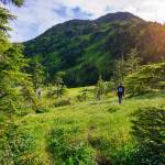 Zach Gianotti walks around the west side of Cropley Lake on Sunday, June 24, 2018. (Gabe Donohoe | For the Juneau Empire)