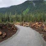 Clearing of land by Central Council of the Tlingit and Haida Indian Tribes of Alaska about three-and-a-half miles up Fish Creek Road on the way to the Eaglecrest Ski Area on Friday, June 29, 2018. (Michael Penn | Juneau Empire)