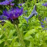 First Friday, July 6: New jewelry, yoga and more