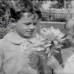 A still from A Day in Skagway, the Burton Holmes travelogue produced for Paramount Pictures in 1918. This scene is of a boy and girl (Kenneth Blanchard and Evelyn Curtin) sharing a large dahlia in one of Skagways beautiful gardens. Photo courtesy of Human Studies Film Archives, Smithsonian Institution; the American Film Institute and the National Film and Sound Archives, Australia.