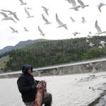 Tasi Fosi of Anchorage, who has been dipnetting in Chitina since 1991, holds up two king salmon on July 9, 2018 as seagulls hover overhead. (Mary Catharine Martin | SalmonState)