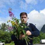 Arranging a locally foraged bouquet of wildflowers. (Photo by Alex McCarthy/Juneau Empire)