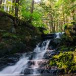 Waterfall at the beginning of the Jumbo trail. (Photo by Gabriel Donohoe)