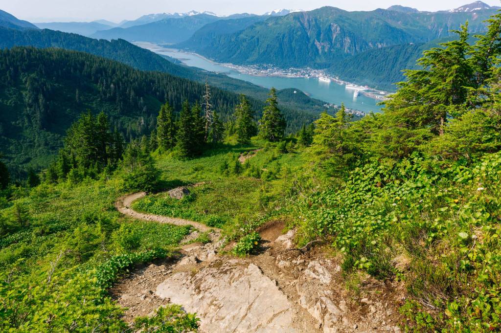 The trail as it starts to become forested again. (Photo by Gabriel Donohoe)